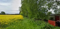 Sf Sorø