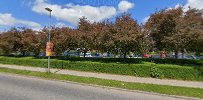 Skole