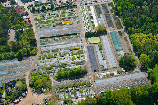 Splendor Plant AB