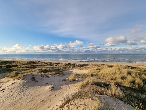 Stængehus