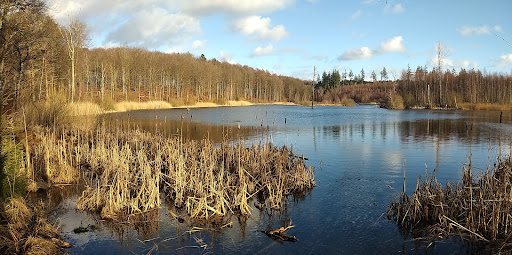 Store Stubbesø