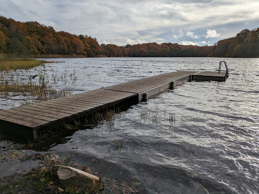 StoreGribsø