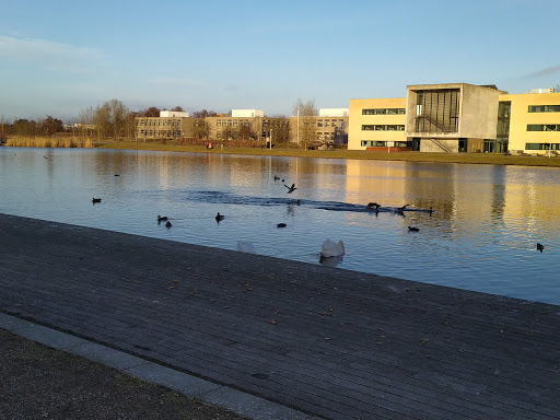 Trekroner sø