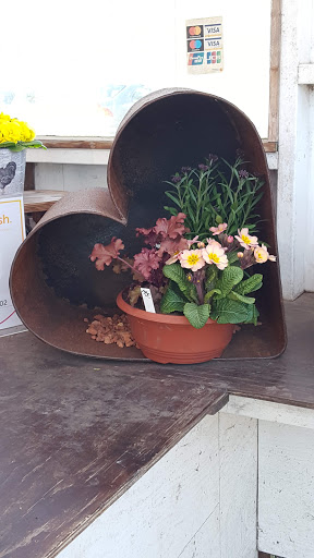 Välaplantor