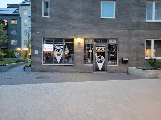 Västra hamnens cyklar