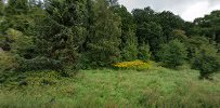 Vinderød Skov
