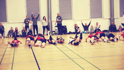 VLI Volley