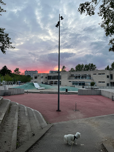 Bagsværd School