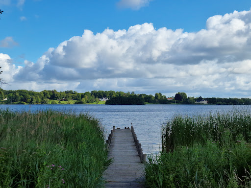 Bagsværd Sø, Nybrogård