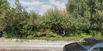 Bakkefrydgård Sommerlag