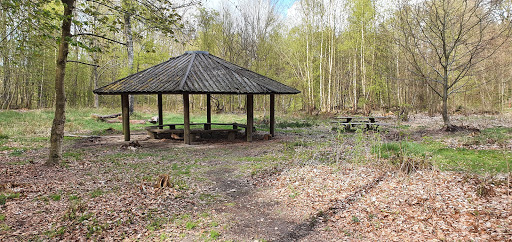Bålplads, Lystrup Skov