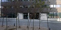 Dansk Kræftforskningsfond
