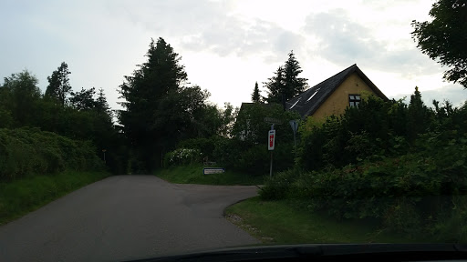 Ellebakken (Strandgårdsvej)
