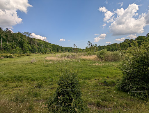 Forest Ganløse