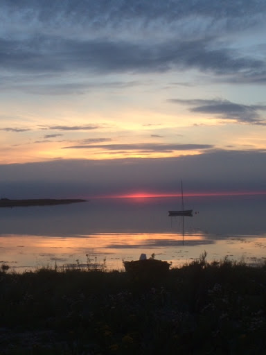 Grundejerforeningen Lynghus Nor, Havnsø
