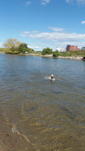 Hundbadet Ribersborg Parkering
