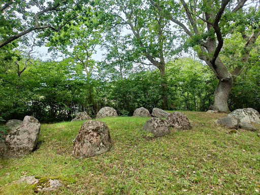 Kårup Skov Langdysse