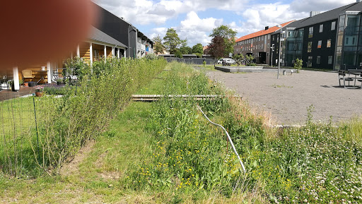 Kastanieparken