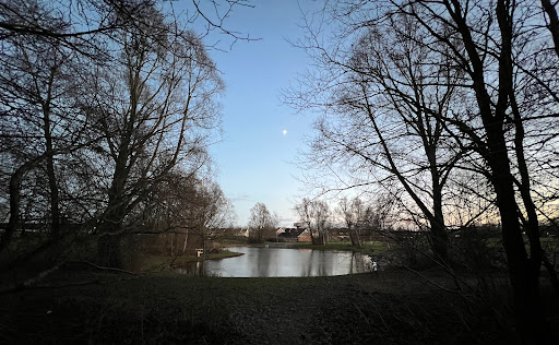 Knudskovparken (Vandtårnsvej)