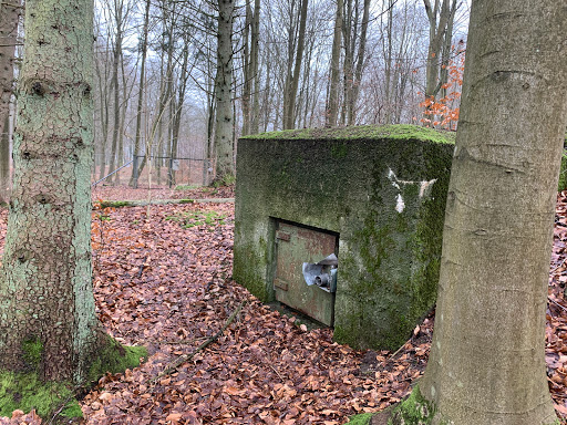Krogenberg Hegn bunkeren (BOC1)