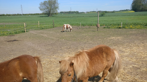 Lejre Økologiske Fødevarefællesskab