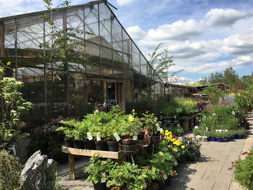 Midtsjællands Plants Ltd.