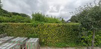 Mikkelsens Vindkraft