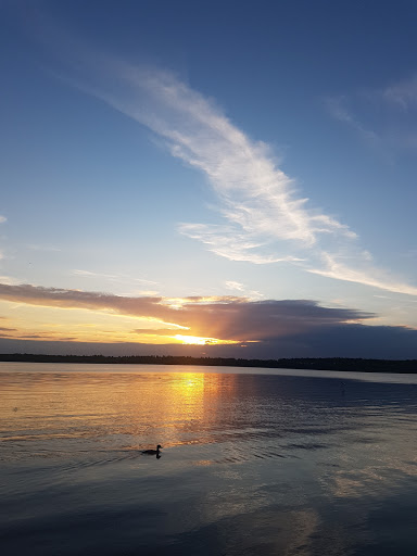 Mosevej (Dronninggårds Allé)