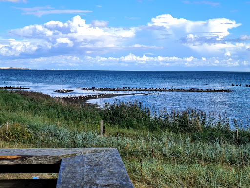 Nivå Bugt Strandenge