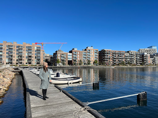 Nordhavn vinterbadning