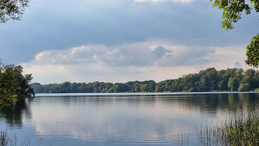 Nørreskoven Lejrpladsen Farum sø