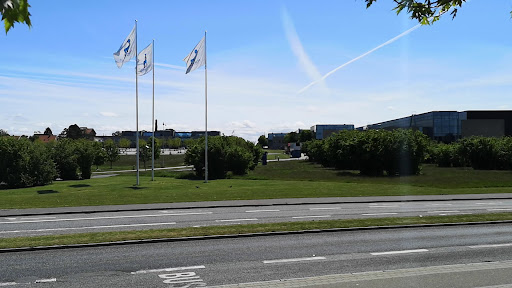 Novo Nordisk
