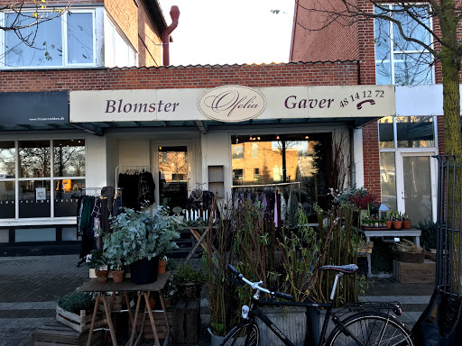Ofelia Blomster og Gaver v/Anne Charlotte Mohr