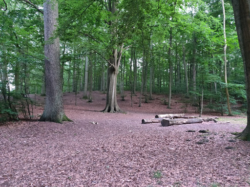 Overnatningspladsen ved Lave Skov