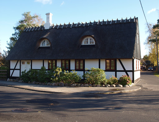Rifsdal Jonas