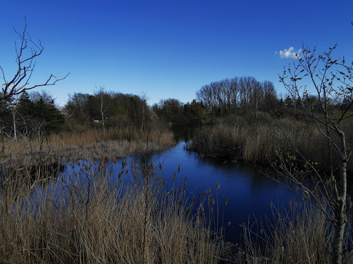 Skuldelev Grusgrav