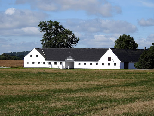 Skuldelevgård