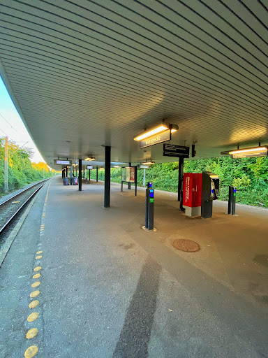 Vangede St.