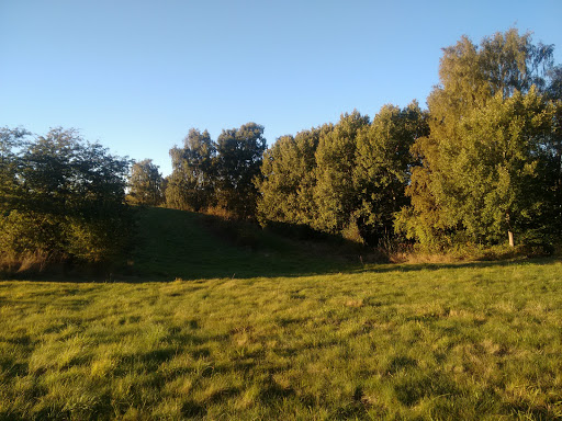 Ved Egedam (Fredskovhellet)