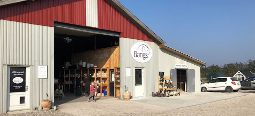 Bangs Friland