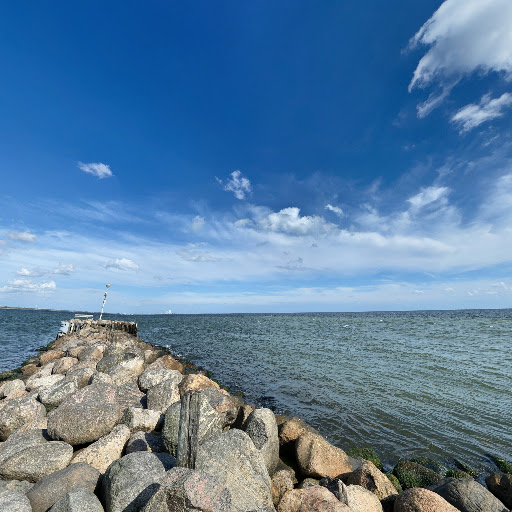 Geder ved hundige strand