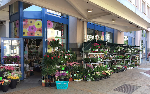 Knutpunktens Blommor
