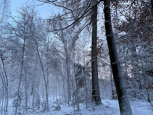Kundetjek