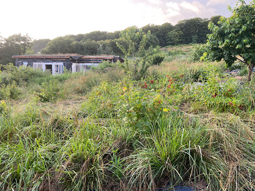 Landbruget Underskoven