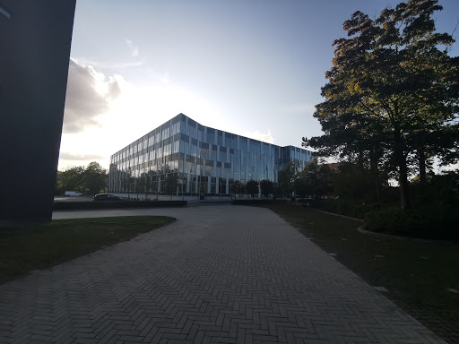 MT Højgaard