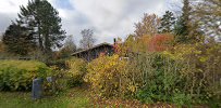 Puregauze Tisvilde
