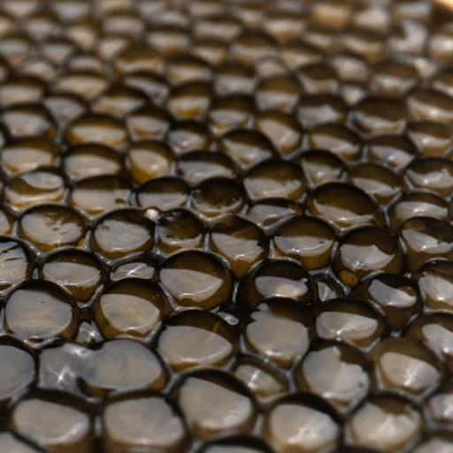 Rossini Caviar A/S