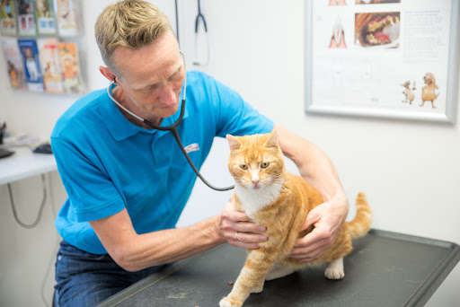 Selskov Veterinary Clinic