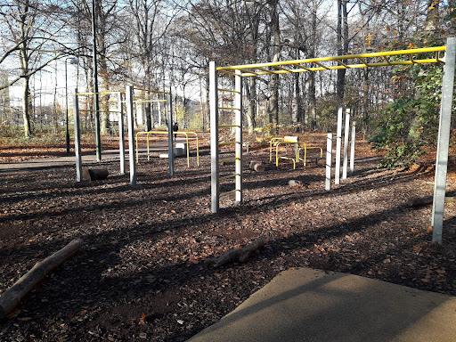 Skogens utegym