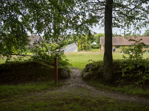 Skovvang - Allerød